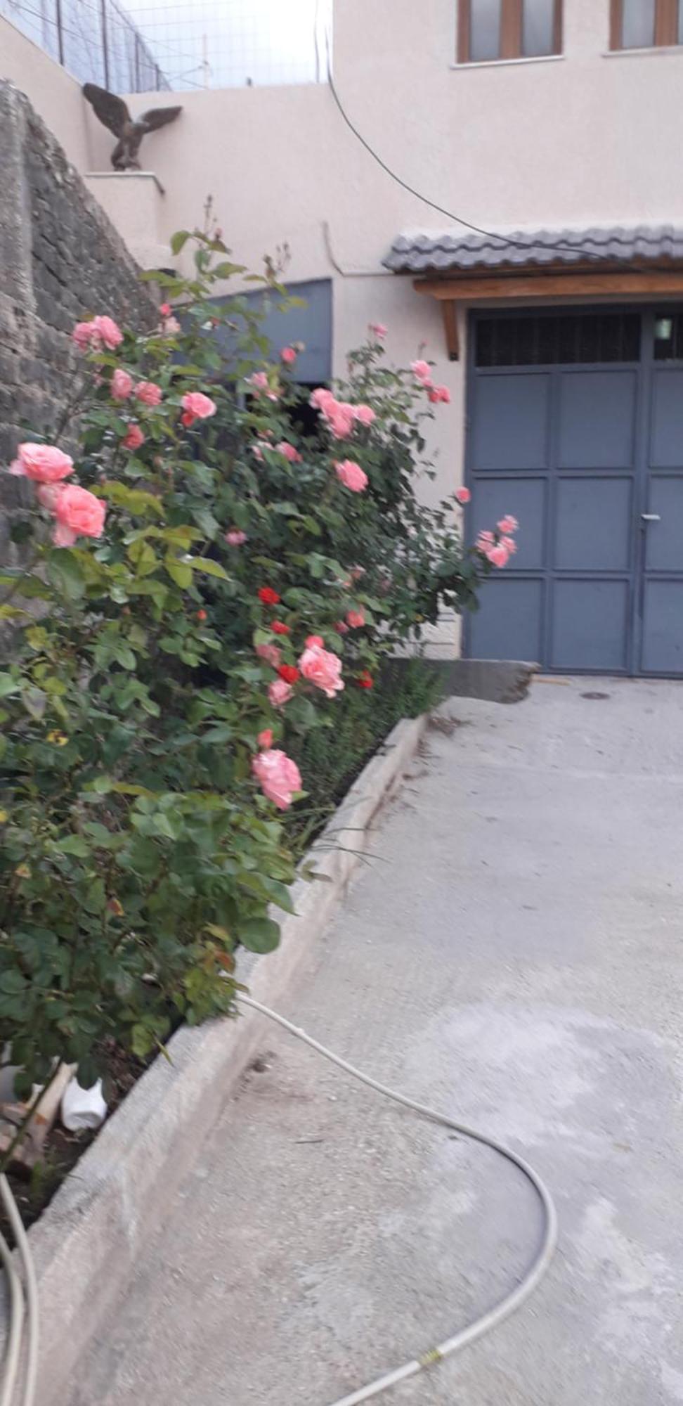 Shena Guest House Gjirokastër 外观 照片